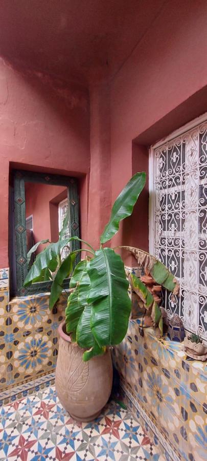 Riad Kainos Marakéš Exteriér fotografie